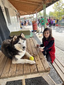 Patiliköy Köpek Barınağı